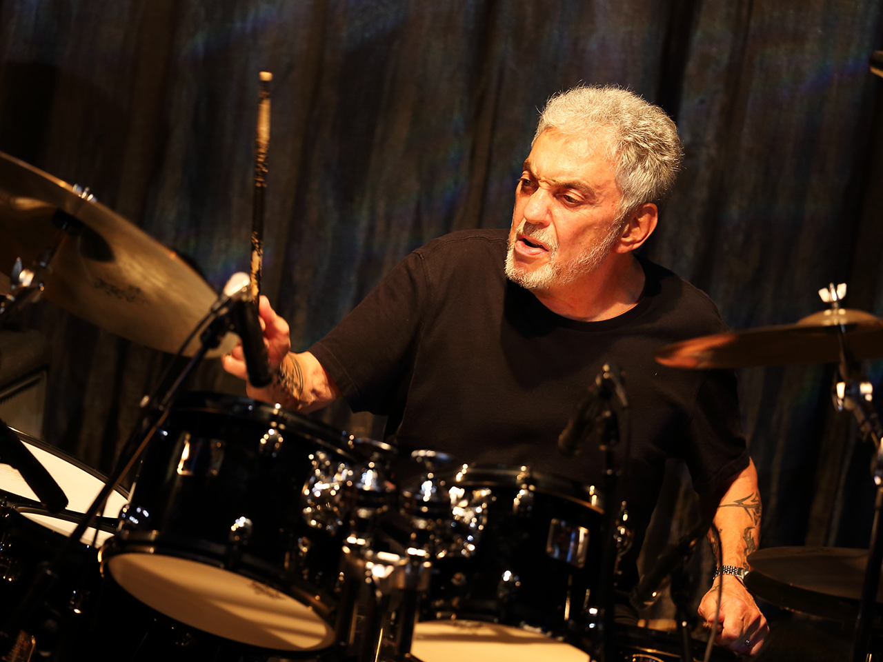 STEVE GADD BAND JAPAN TOUR 2024