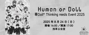 [Streaming+] 