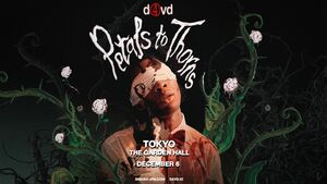d4vd Petals to Thorns Tour