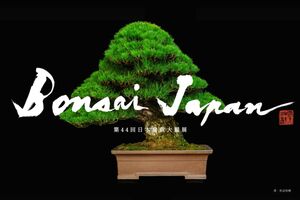 The 44th BONSAI JAPAN